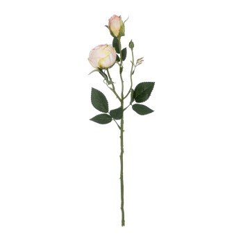 GloboStar® Artificial Garden CHAMPAGNE DAMASK CLIMBING ROSE BRANCH 21198 Τεχνητό Διακοσμητικό Κλαδί Τριαντάφυλλο Σαμπανιζέ Y55cm
