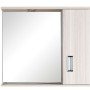FINO - ΕΡΜΑΡΙΟ PVC 62*55*13.5 ΜΕ ΕΝΑ ΦΩΣ TERRA 40-0007