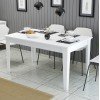 ΤΡΑΠΕΖΙ ΤΡΑΠΕΖΑΡΙΑΣ STANDARD HM9507.06 ΜΕΛΑΜΙΝΗ ΛΕΥΚΗ ΜΕ ΑΠΟΘΗΚ.ΧΩΡΟ 145x88x75Yεκ.
