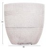 ΣΕΤ 4ΤΜΧ ΓΛΑΣΤΡΕΣ ΣΤΡΟΓΓΥΛΕΣ ΣΕΙΡΑ GARDENER HM4719 FIBERCLAY-ΧΡΩΜΑ CEMENT Φ44x43Υεκ ΣΕΤ 4ΤΜΧ ΓΛΑΣΤΡΕΣ ΣΤΡΟΓΓΥΛΕΣ ΣΕΙΡΑ GARDENER HM4719 FIBERCLAY-ΧΡΩΜΑ CEMENT Φ44x43Υεκ