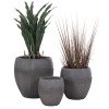 ΣΕΤ 3ΤΜΧ ΓΛΑΣΤΡΕΣ ΣΕΙΡΑ GARDENER HM4725 FIBERCLAY-ΣΕ ΣΚΟΥΡΟ CEMENT ΧΡΩΜΑ Φ55x54Υεκ ΣΕΤ 3ΤΜΧ ΓΛΑΣΤΡΕΣ ΣΕΙΡΑ GARDENER HM4725 FIBERCLAY-ΣΕ ΣΚΟΥΡΟ CEMENT ΧΡΩΜΑ Φ55x54Υεκ