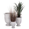 ΣΕΤ 3ΤΜΧ ΓΛΑΣΤΡΕΣ ΜΕ ΑΝΑΓΛΥΦΟ GARDENER HM4729 FIBERCLAY-ΣΕ ΥΠΟΛΕΥΚΟ Φ58x72.5Υεκ ΣΕΤ 3ΤΜΧ ΓΛΑΣΤΡΕΣ ΜΕ ΑΝΑΓΛΥΦΟ GARDENER HM4729 FIBERCLAY-ΣΕ ΥΠΟΛΕΥΚΟ Φ58x72.5Υεκ
