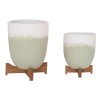 ΓΛΑΣΤΡΕΣ ΣΕΤ 2ΤΜΧ SEON HM4686.09 TERRACOTTA ΣΕ ΛΕΥΚΟ & ΠΡΑΣΙΝΟ--TEAK ΒΑΣΗ