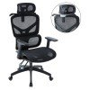 ΚΑΡΕΚΛΑ ΓΡΑΦΕΙΟΥ APEX HM1227.01 ΜΑΥΡO MESH & PP 70x66x113-130Υεκ
