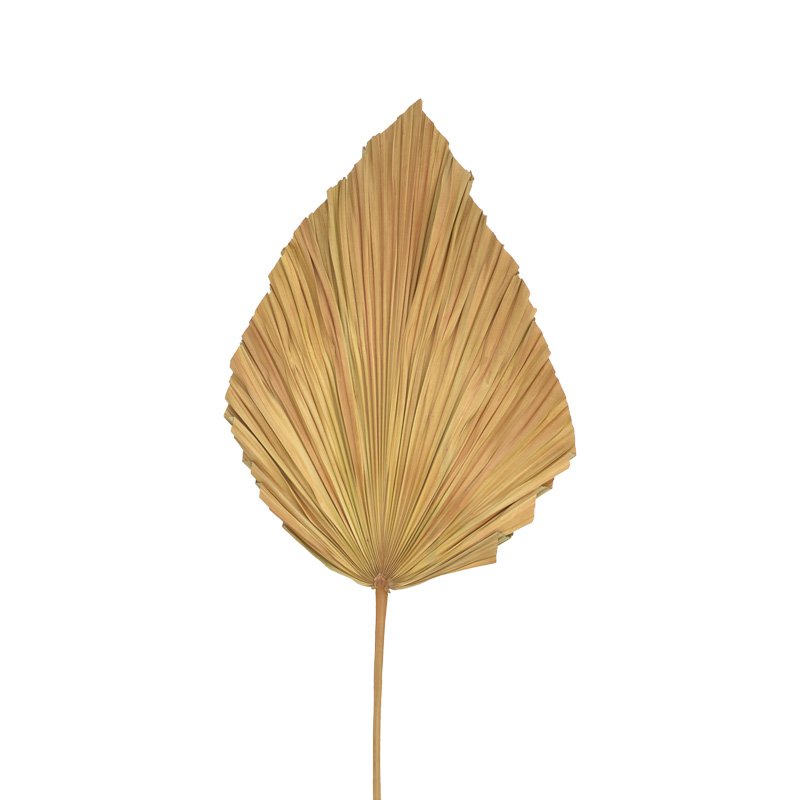 Διακοσμητικό φύλλο Walsy Inart palm leaf σε φυσική απόχρωση Υ135 εκ