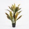 Διακοσμητικό φυτό σε γλάστρα Cycas Inart πράσινο Φ55x80εκ