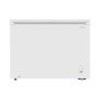Sanden Intercool Sfh-0300 Επαγγελματικός Καταψύκτης Μπαούλο 297lt Π111.4 X Β64.7 X Υ88cm